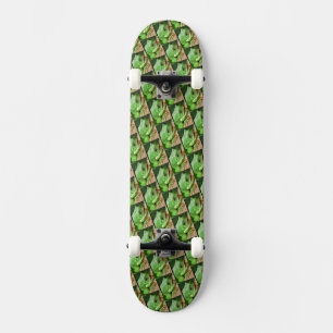 Skateboard Grenouille à arbre vert