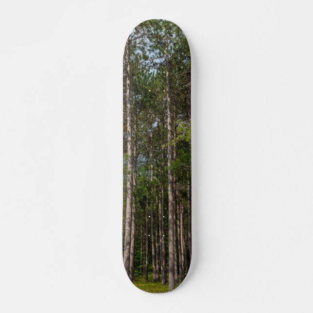 Skateboard Gros pins (Devant)