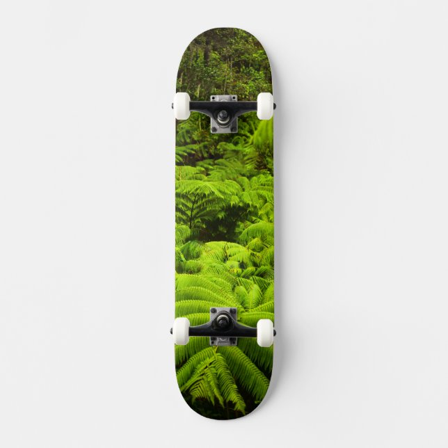 Skateboard Hawaii, Grande Ile, Verdure tropicale luxuriante d (Recto)