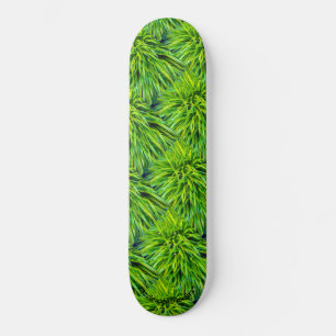Skateboard Herbe