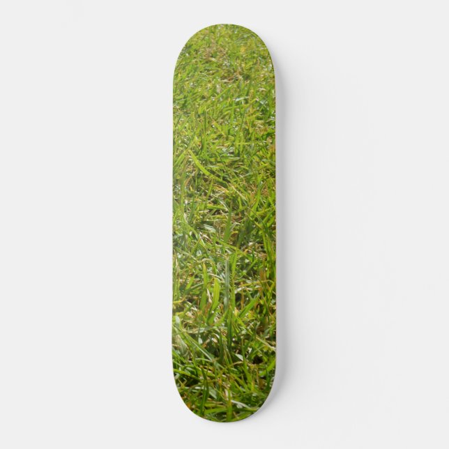 Skateboard Herbe verte, jardiner, (Recto)