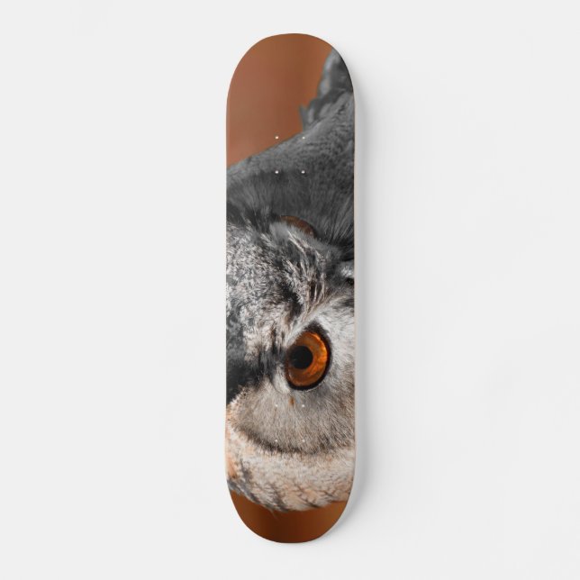 Skateboard Hibou Stare (Recto)