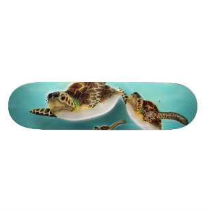 Skateboard Illustration de tortues marines