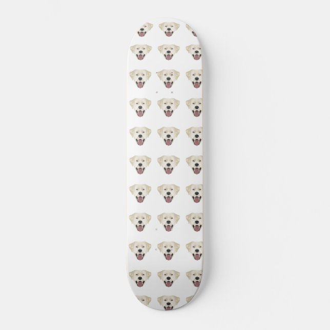 Skateboard Illustration golden labrador retraçant avec le sou (Recto)