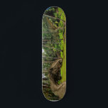 Skateboard Imaginaire T-Rex Tyrannosaurus bataille Dragon<br><div class="desc">Cette conception peut être personnalisée en choisissant l'option personnaliser pour ajouter du texte ou apporter d'autres modifications. Si ce produit a la possibilité de transférer la conception à un autre article, s'il vous plaît assurez-vous d'ajuster la conception pour s'adapter si nécessaire. Contactez-moi à colorflowcreations@gmail.com si vous souhaitez avoir cette conception...</div>