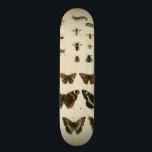 Skateboard Insectes de jardin par Vision Studio<br><div class="desc">Cette pièce Vision Studio est un rêve entomologiste ! Les insectes de jardin sont attirés sur un arrière - plan crème,  montré dans des détails d'une beauté extrême. Si vous aimez les insectes c'est l'impression pour vous!</div>