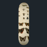 Skateboard Insectes de jardin par Vision Studio<br><div class="desc">Cette pièce Vision Studio est un rêve entomologiste ! Les insectes de jardin sont attirés sur un arrière - plan crème,  montré dans des détails d'une beauté extrême. Si vous aimez les insectes c'est l'impression pour vous!</div>