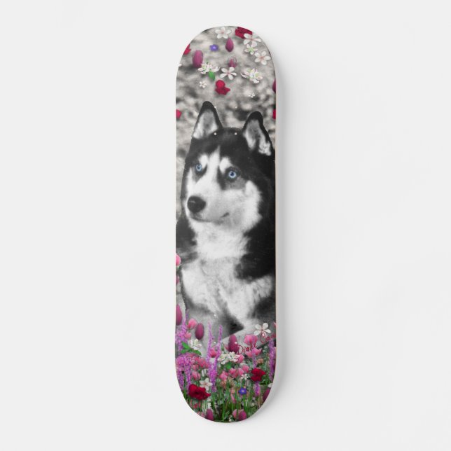 Skateboard Irie le chien de traîneau sibérien en fleurs (Recto)