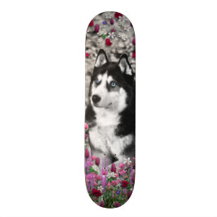 Skateboard Irie le chien de traîneau sibérien en fleurs