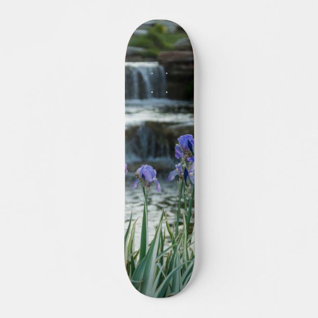 Skateboard Irises Au Château (Devant)
