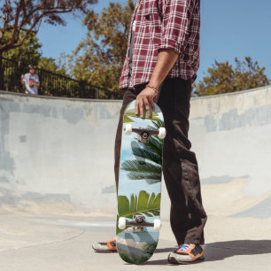 Skateboard Ischia Ponte Front de Mer Palmier Sérénité 1