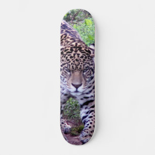 SKATEBOARD JAGUAR
