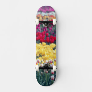 Skateboard Jardin de tulipes dans la vallée de Skagit,
