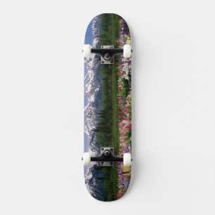Skateboard jardin d'Iris et de Lupine et chaîne de Teton,