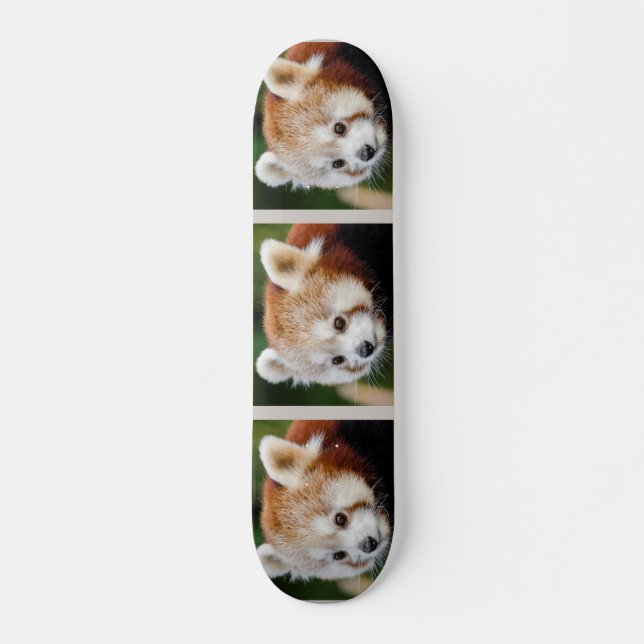 Skateboard Joli Animal Panda roux (Devant)