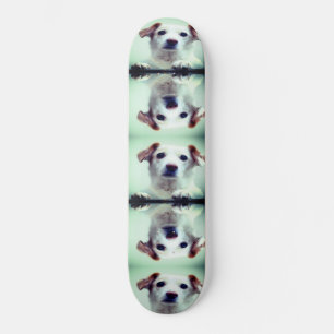Skateboard Joli chiot
