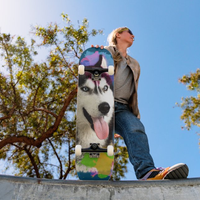 Skateboard Joli Husky. (Extérieur 1)