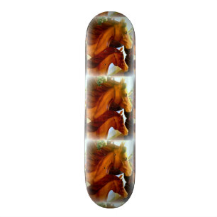 Skateboard juments et poneys