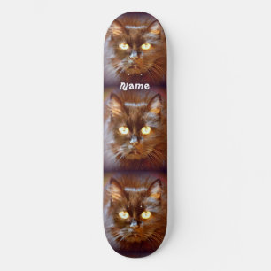 Skateboard Kittycats noirs Thunder_Cove