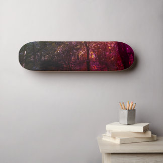 Skateboard La 13e Skultboard.