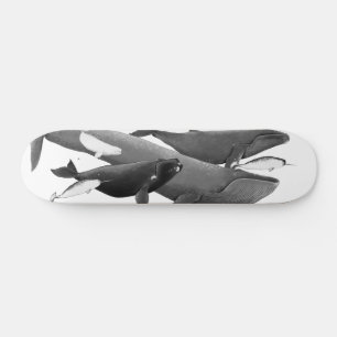 Skateboard La Nage Des Baleines Illustration Art Whale