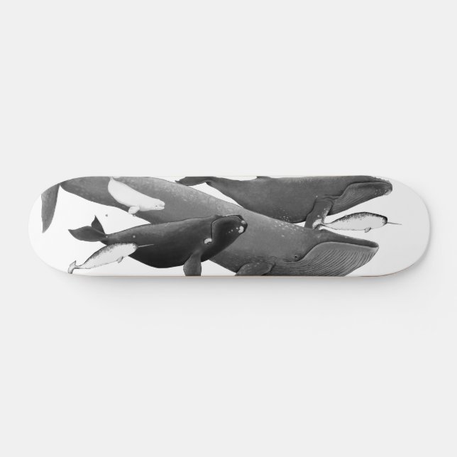 Skateboard La Nage Des Baleines Illustration Art Whale (Horz)