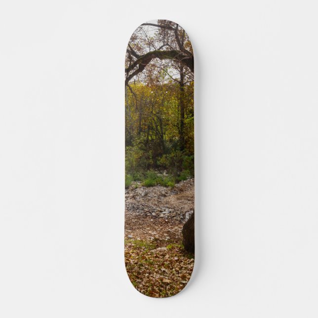 Skateboard La Nature (Devant)