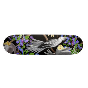 Skateboard La planche à roulettes de Cockatiel