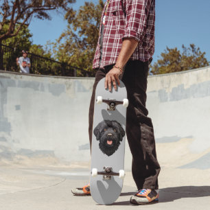 Skateboard Labradoodle Chien noir