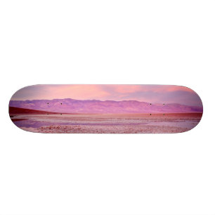 Skateboard Lac Death Valley water