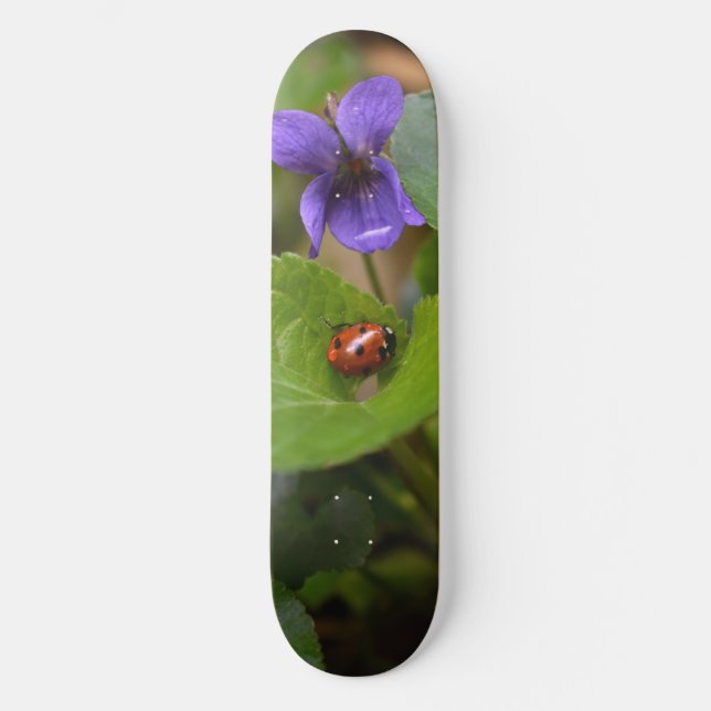 Skateboard Ladybug sur les fleurs de violet doux (Recto)