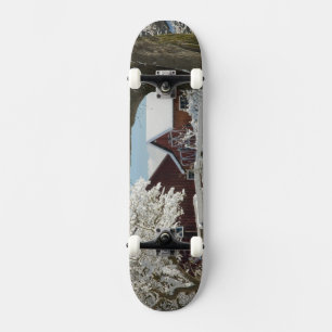 Skateboard L'Amérique du Nord, Etats-Unis, WA, île de
