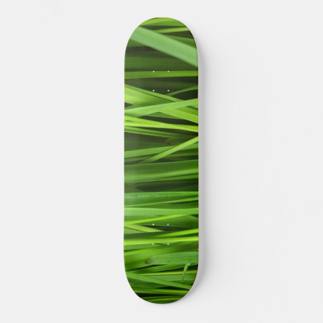 Skateboard Lames d'herbe (Recto)