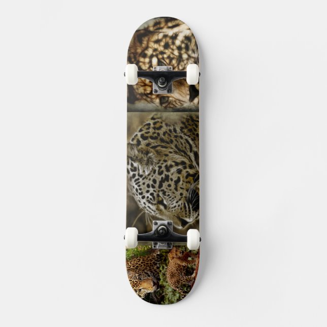 Skateboard Le chat sauvage de Jaguar repère le destin (Recto)