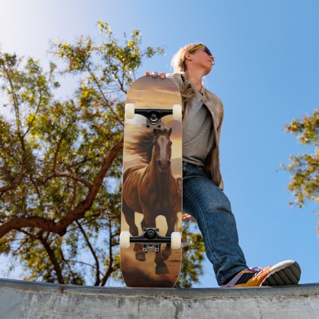 Skateboard Le désert des Chevaux sauvages (Extérieur 1)