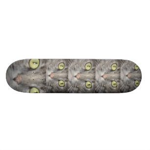 SKATEBOARD LE GRAND CONSEIL