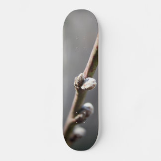 Skateboard Le printemps arrive