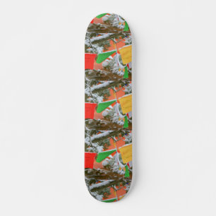 Skateboard le Tibétain prient la planche à roulettes de