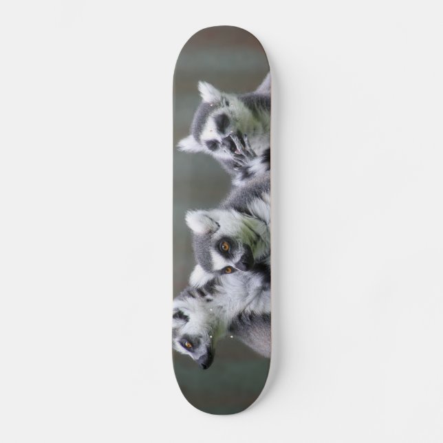 SKATEBOARD LEMURIENS SAUTEURS (Recto)