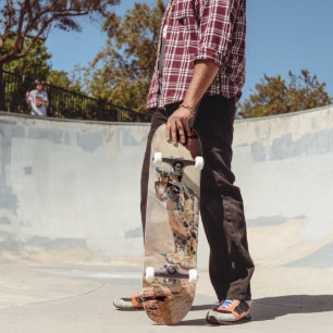 Skateboard léopard nébuleux image nature faune exotique