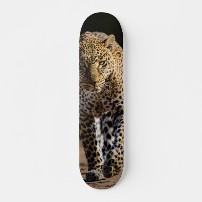 Skateboard Leopardo peligroso depredador (Devant)