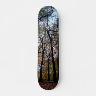 Skateboard Les arbres noirs, dans les bois