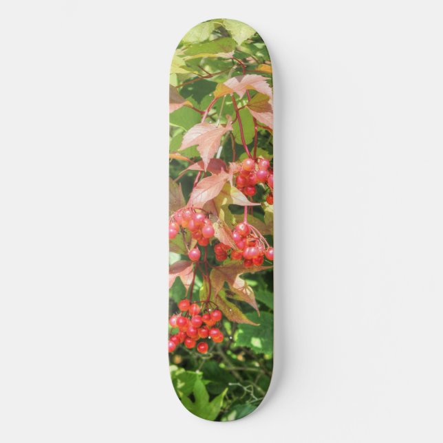 Skateboard Les canneberges de Highbush (Recto)