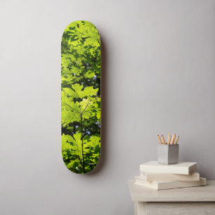 Skateboard Les Feuilles de la forêt