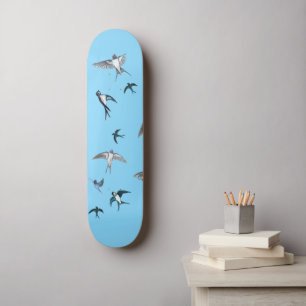 Skateboard L'Illustration De L'Avalière Volante