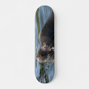 Skateboard Lion de mer