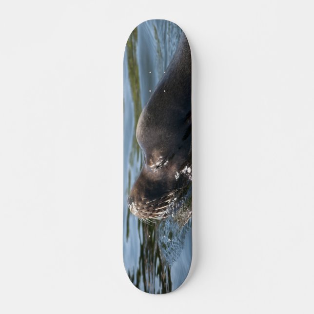 Skateboard Lion de mer (Devant)