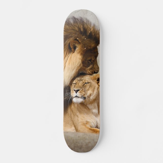 Skateboard Lion masculin et femelle dans l'amour (Recto)