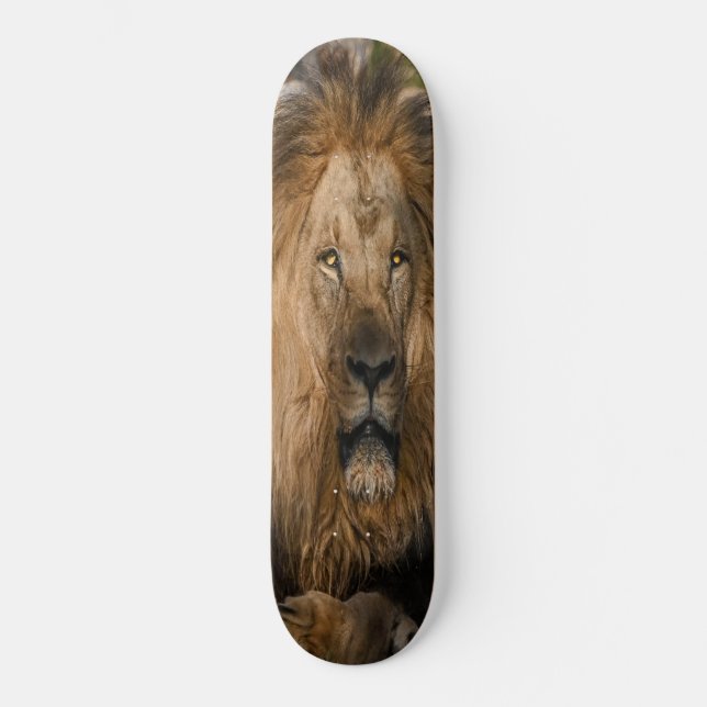 Skateboard lion YELLOW EYES (Recto)