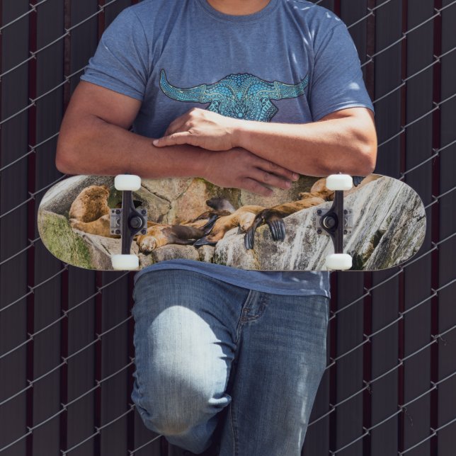 Skateboard Lions De Mer Posés Sur Les Rochers (Extérieur 3)